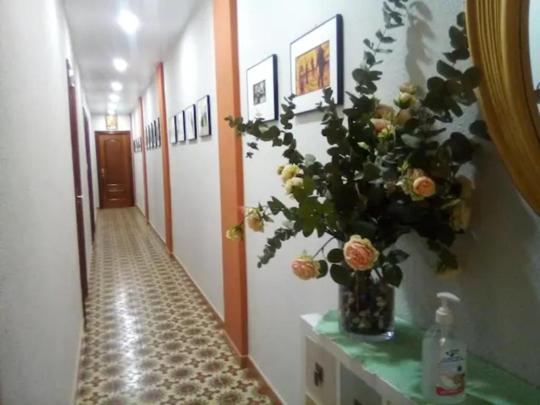 Las Golondrinas Zaragoza habitación individual Saragoça Exterior foto